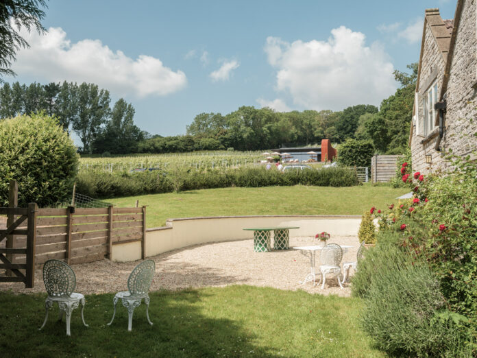 Wraxall Vineyard, Somerset