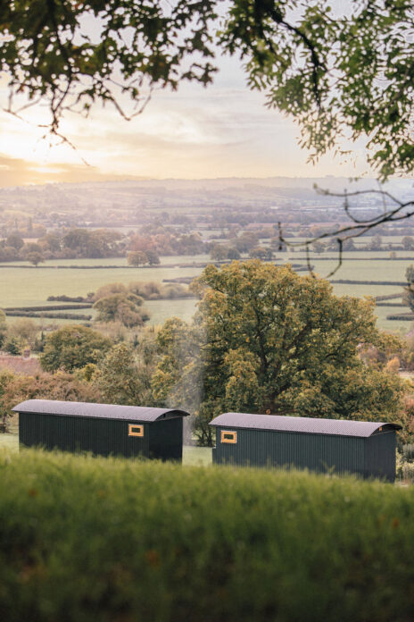 Wraxall Vineyard