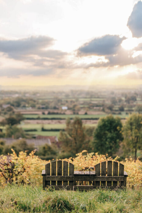 Wraxall Vineyard