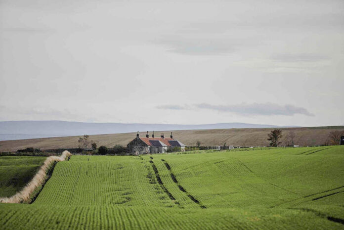 Banchory Farm - Drinkbetween West