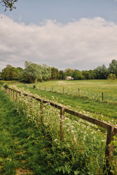 Collector's Cottage, Wiltshire