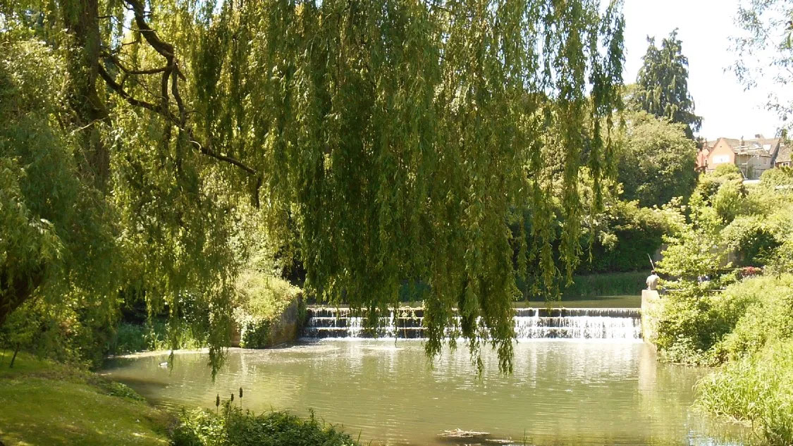 Malmesbury country walk
