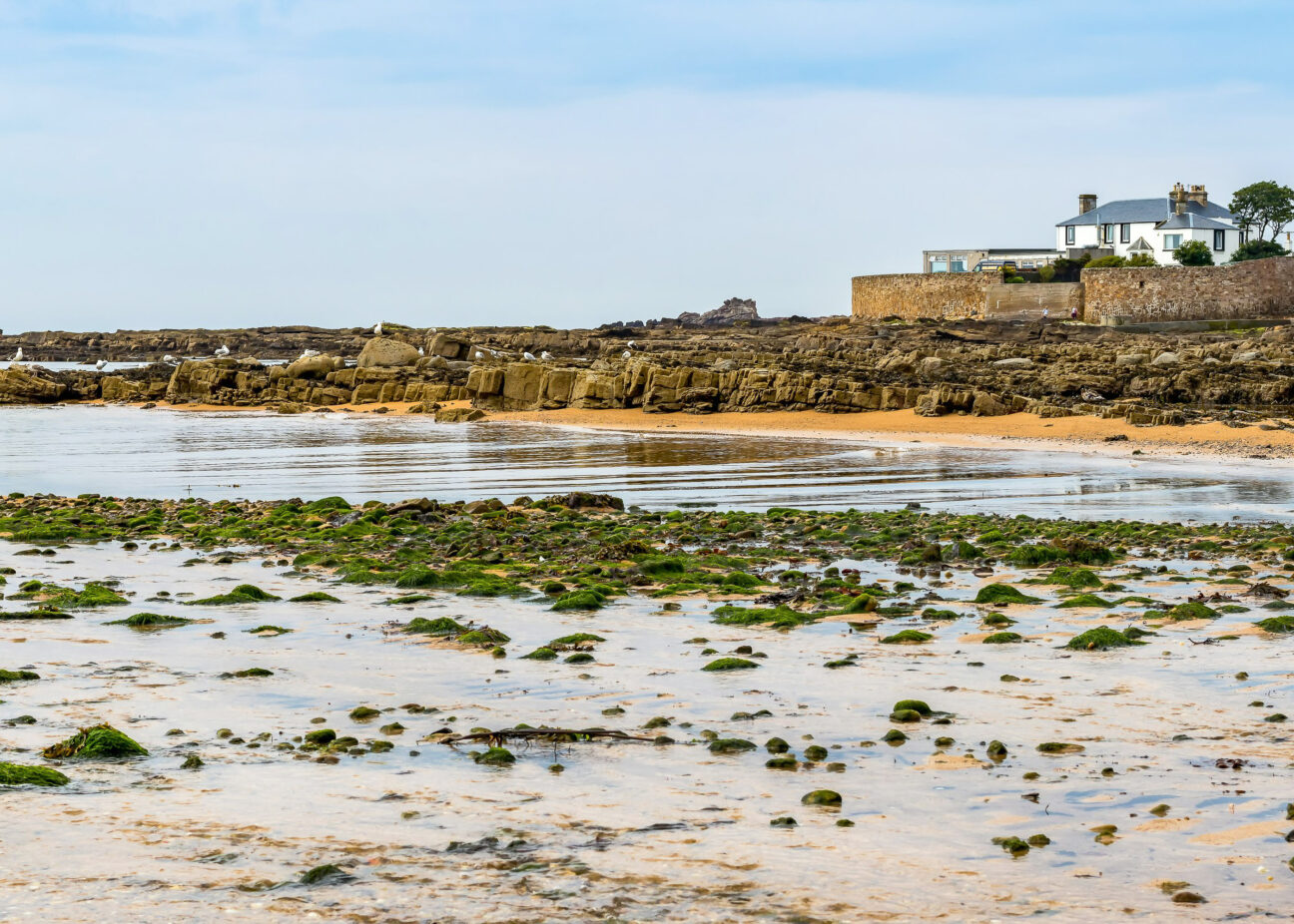 Anstruther, East Neuk of Fife via Unsplash