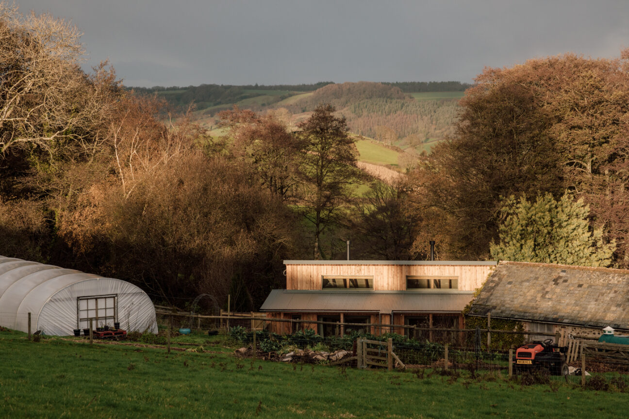 A cabin stay on an East Devon smallholding.