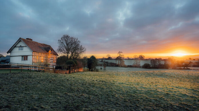 Redford Farm - field