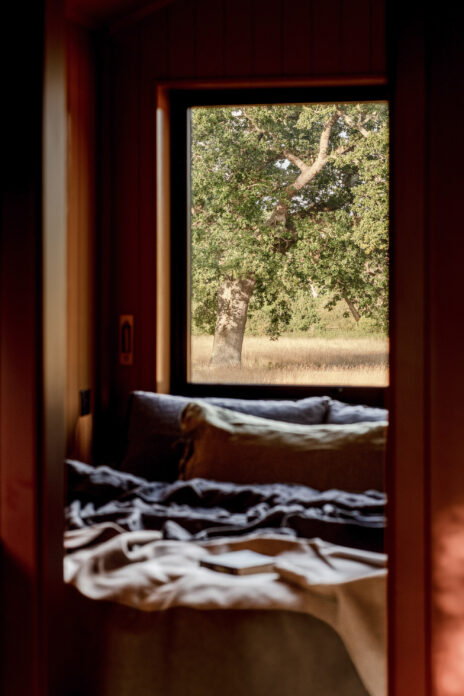 Sussex Shacks - Blackthorn