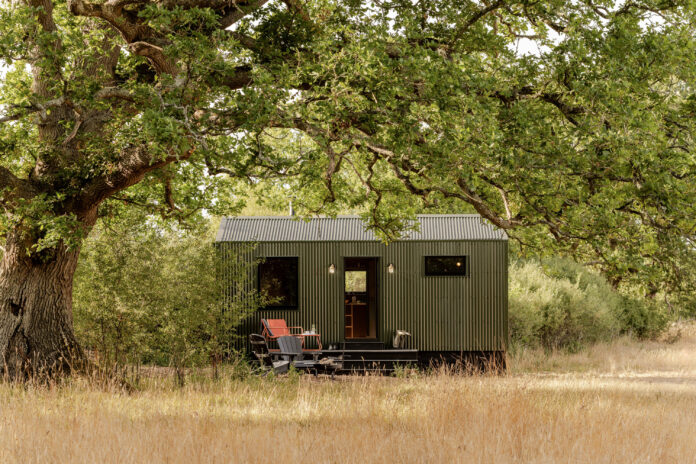 Sussex Shacks - Blackthorn