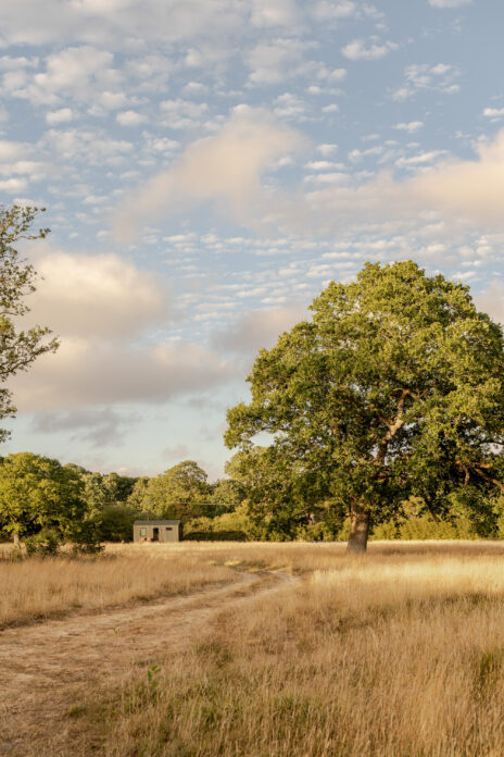 Sussex Shacks - Hawthorn
