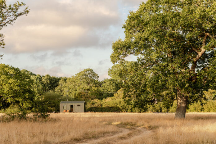 Sussex Shacks - Hawthorn