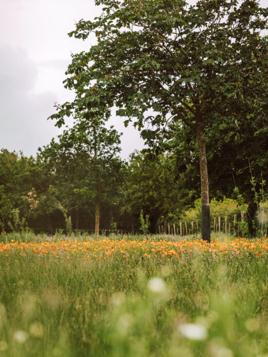 Fields Farm Cabins, Worcestershire