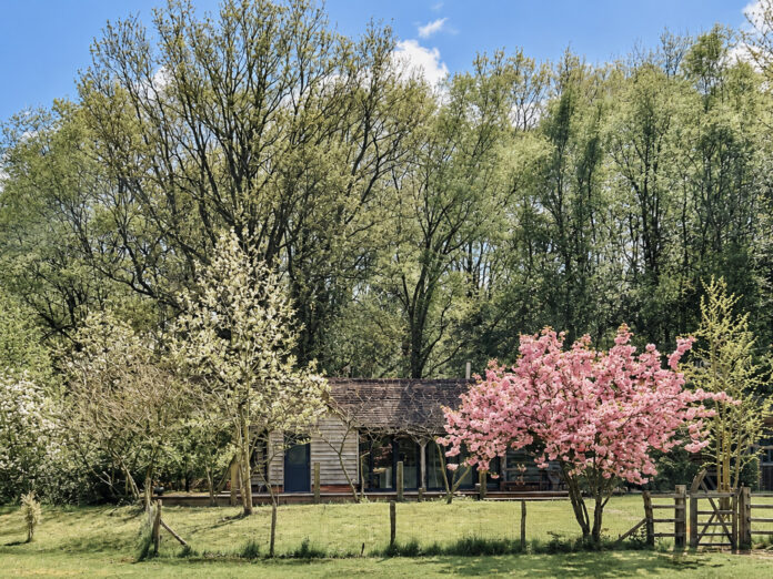 The Hammonds Cabin, Sussex