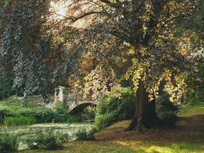 test_shacks_at_weston_park_duplicate · exterior setting