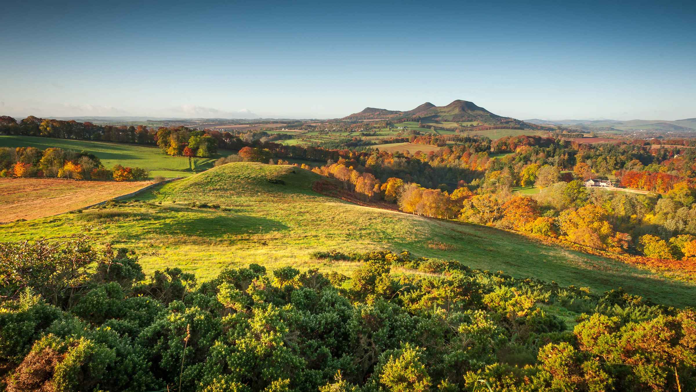 Scottish Borders