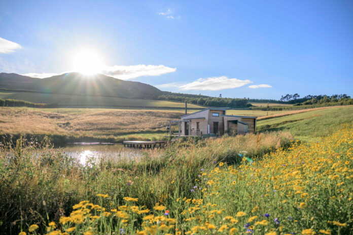 Tiny Home Scottish Borders1